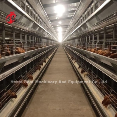 Un tipo gabbia in batteria del pollo di strato in pieno automatica per la grande azienda agricola Adela