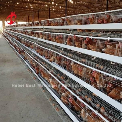 Un tipo 160 sistema della gabbia in batteria di strato di capacità, gabbia del pollo di deposizione delle uova sabbiosa