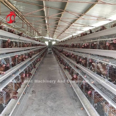 Sistema di gabbia a batteria automatizzata a caldo Galvanizzato 25 Durata di vita 450cm2 In Nigeria Emily