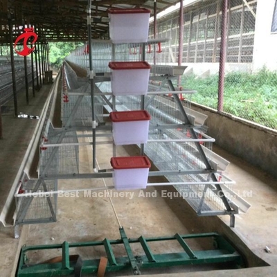 Vendita calda Rosa di Tires di strato della gabbia in batteria del sistema di strato della gabbia commerciale automatica 3 del pollo
