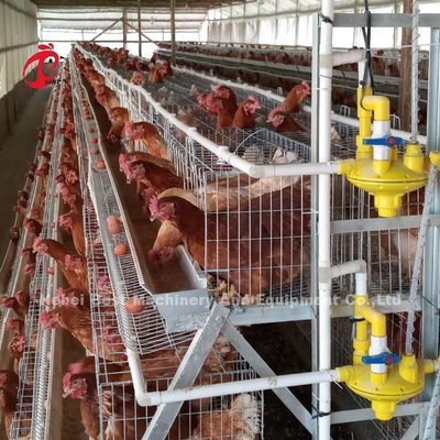 Prezzo della gabbia in batteria di 4 galline di Tires in Nigeria, gabbia Rosa di strato del pollo di 5 porte