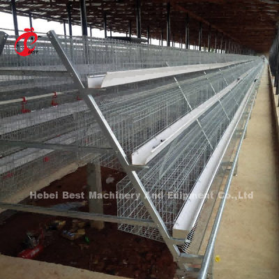 La immersione calda di 3 Tires ha galvanizzato la gabbia del pollo dell'azienda avicola, la vendita calda Mia della gabbia del pollo di strato