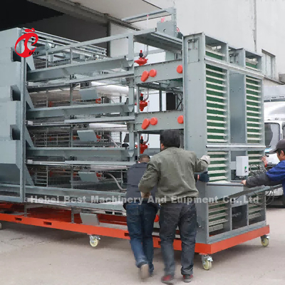 La immersione calda di 3 Tires ha galvanizzato la gabbia del pollo dell'azienda avicola, la vendita calda Mia della gabbia del pollo di strato