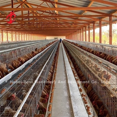 Una stalla animale del sistema della gabbia in batteria di avicoltura della struttura struttura 2022 Emily di vendita calda