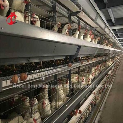 Gabbia ampiamente usata di strato del pollame del filo di ferro per il pollo commerciale Mia