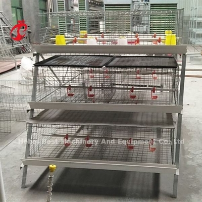 Conservi il pollame dello spazio il pollo da carne che ingabbia il filo di acciaio a basso tenore di carbonio in Africa Adela