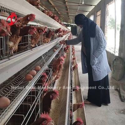144 Uccelli Capacità Cage a strato di tipo H per la carne di pollo commerciale