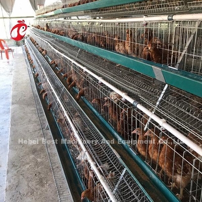 Gabbie in batteria galvanizzate elettriche Emily dello strato di ruggine della gabbia dell'azienda avicola di strato anti