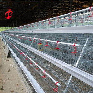 Migliore gabbia importata del pollo di strato di qualità per il pollo maturo nel mercato Mia dell'Africa