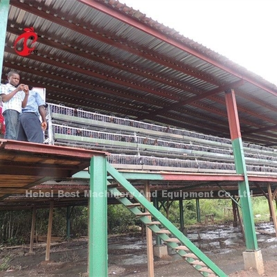 Un tipo avicoltura ISO14001 Doris della gabbia in batteria dei polli da arrosto