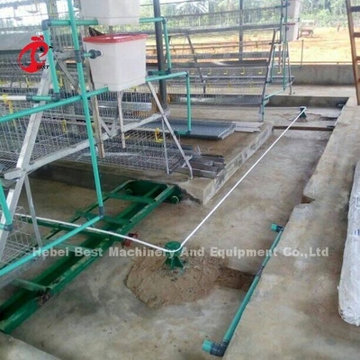 Ruspa spianatrice riciclata del sistema di elaborazione del concime di 380V 8kw per l'iride dell'azienda avicola