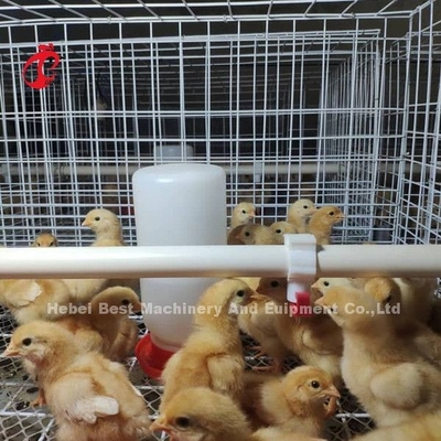 Equipaggiamento per allevamenti di polli H-Type Battery Chicken Cage System For Broiler Mia