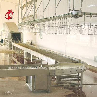 sistema di elaborazione della griglia 220V 4kw, attrezzatura Doris di macello del pollo degli ss 304