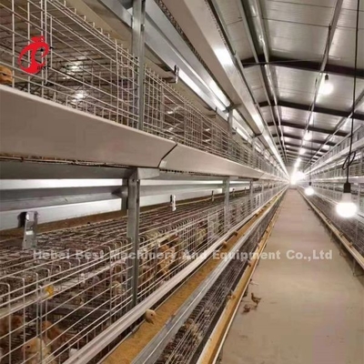 Tipo CE della gabbia del pollo da carne, attrezzatura automatica piena Adela di H della gabbia della griglia