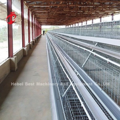 il sistema della gabbia di avicoltura di 4 file, facile installa la gabbia galvanizzata Doris del pollo