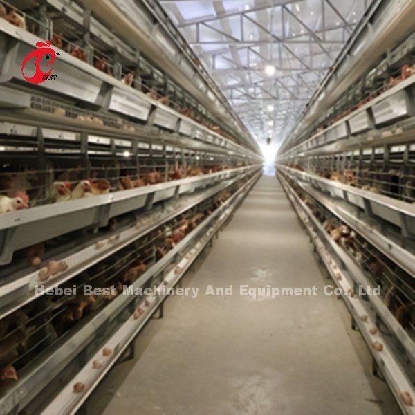 Un sistema di gabbia a batteria di pollo automatico di tipo H con 25 anni di vita