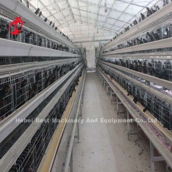 Gabbia a strati per sistema di abbeveraggio automatico tipo A zincata a caldo nella fattoria Adela