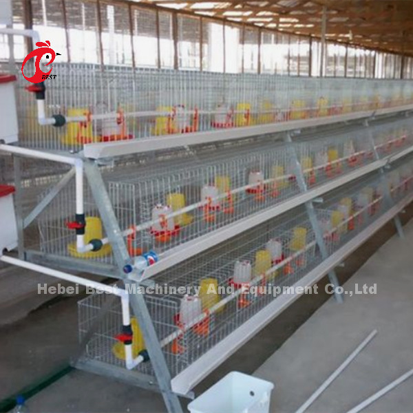 Gabbia in batteria dei pulcini di un giorno per dei polli da arrosto 3 o 4 iride galvanizzata la fila