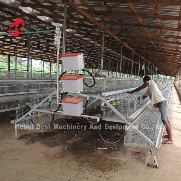 CE un tipo 120 uccelli Chick Rearing Cage With Drinkers e stella degli alimentatori