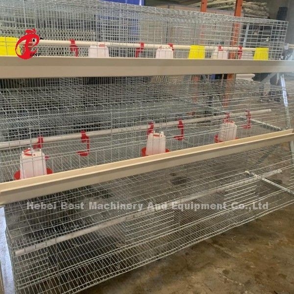 Il tipo 3 argento di Q235 A della gabbia del pollo della pollastra di Tires ha galvanizzato Adela