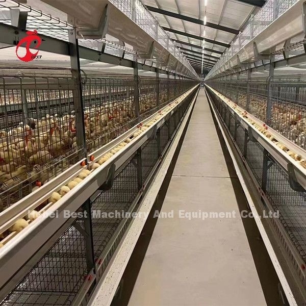 E gabbia della griglia del pollame di H che alza attrezzatura per i pulcini di un giorno sabbiosi