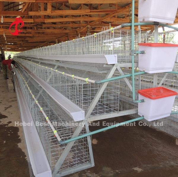 120 Uccelli 200 Uccelli Capacità Pollame Sistema di gabbia a batteria per strati Polli da carne Polli stella