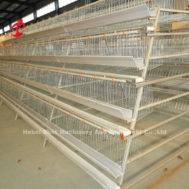 2.8mm-3.5mm Cage Wire Diameter Poultry Farming Cage System per un'elevata efficienza di allevamento Adela