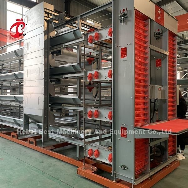 A o H tipo di gabbia di pollo automatico attrezzature di alimentazione Hopper sistema di raccolta di uova per 35.000 uccelli Doris