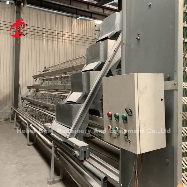 Prezzo franco fabbrica sull'attrezzatura completamente automatica professionale della gabbia del pollo per l'iride della Camera di pollo