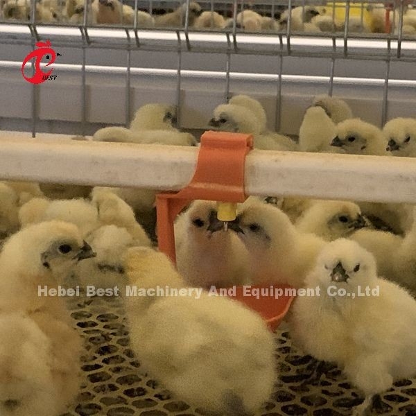 Pratica 380V Chick Brooder Cage Per Giorno Vecchio Strato Coltivatore di Polli In Africa Agricola Iris