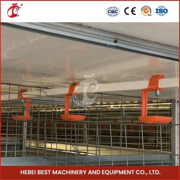 Tipo automatico Chick Pullet Cage High Capacity del giorno scorso Adela della gabbia per polli moderna lunga H di durata della vita