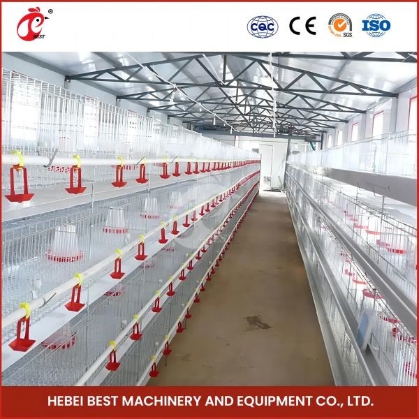Lunghezza automatica galvanizzata calda Mia degli uccelli 1.2m di Chick Brooder Cage 192 del bambino della pollastra