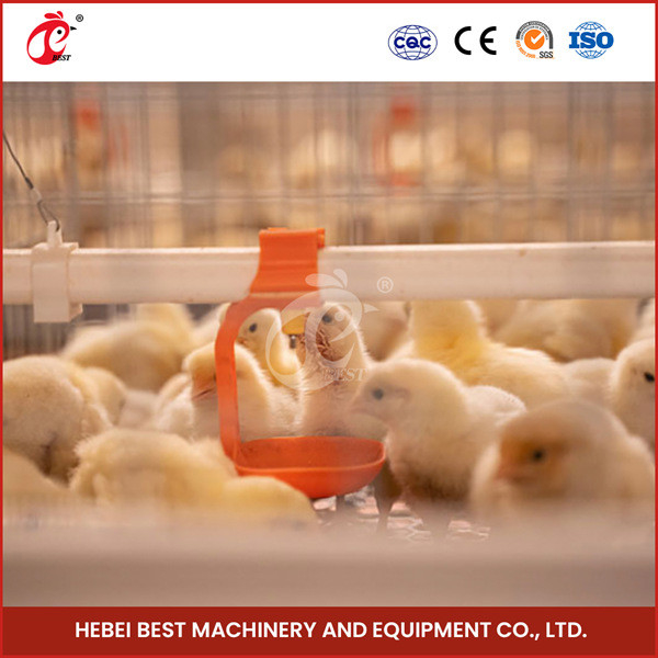 Pulcini automatizzati Rosa del coltivatore di strato di Chick Brooder Cage For Day della batteria del bambino della pollastra vecchi
