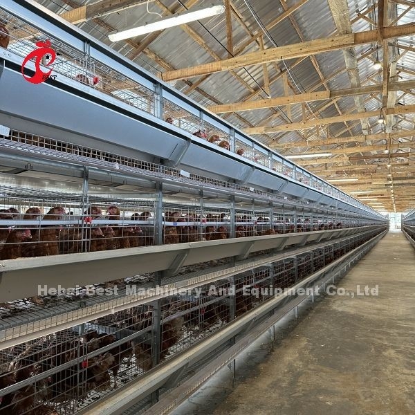 Gabbia d'acciaio della batteria del pollo Q235 per l'iride di dimensione su ordinazione dell'azienda avicola