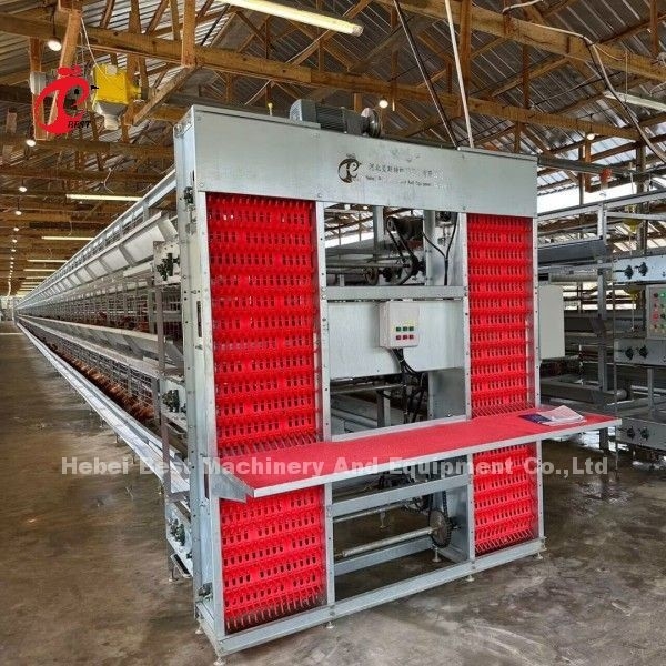 Sistema automatico di bevuta per strati di tipo A e H