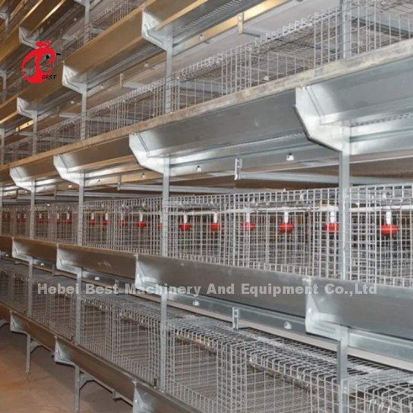 450cm2 Tipo H Sistema automatico di gabbia a batteria per polli con alimentatore Adela