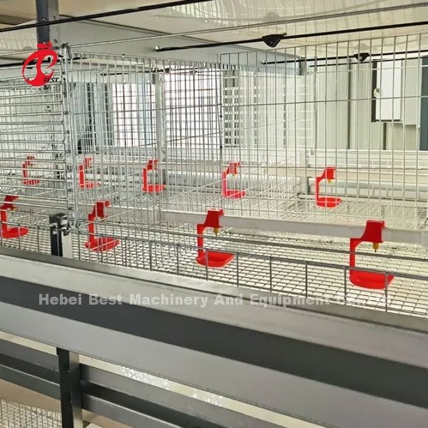 Q235 Acciaio più resistente filo di galleggiante gabbia di pollo 1,5 m x 2,2 m x 1,75 m Adela