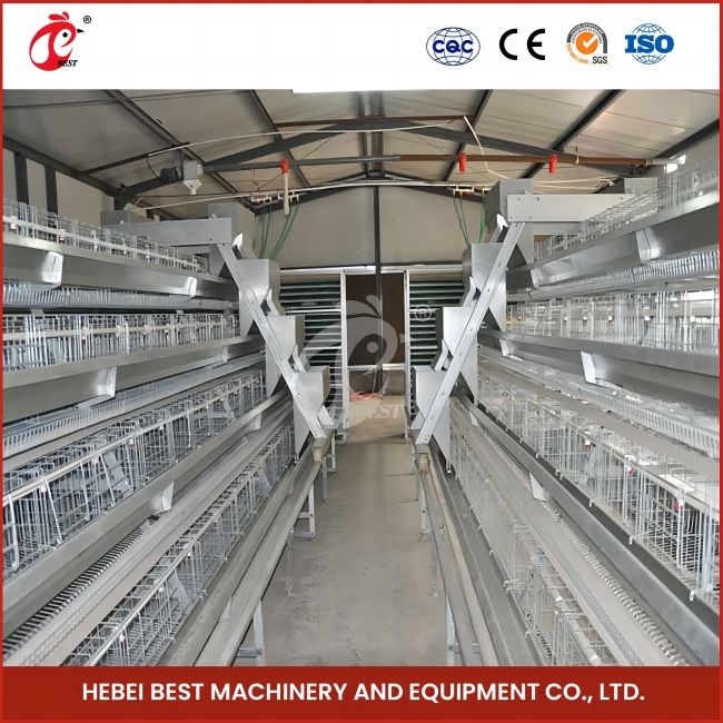 96 uccelli tipo H gabbia automatica per polli / gabbia per polli tipo broiler con porta scorrevole rosa