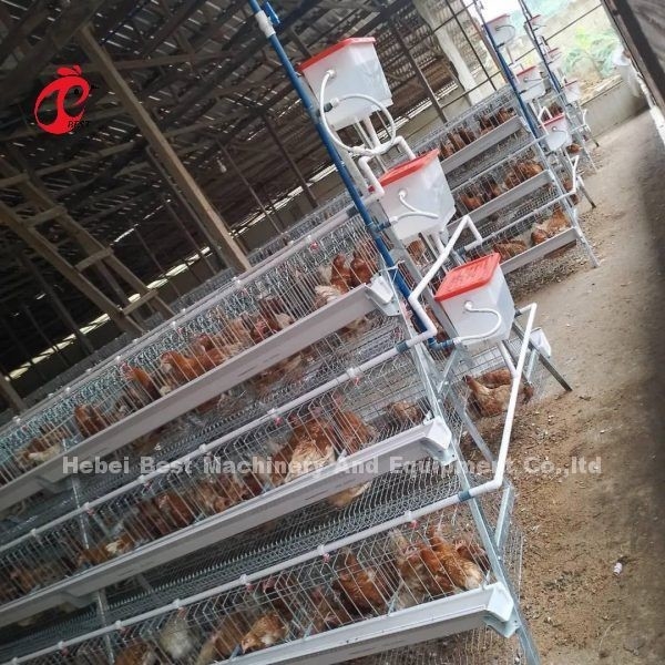 Allevamento di galline semplificato con gabbia a strato di pollame in tipo A o H 450cm2 Ada