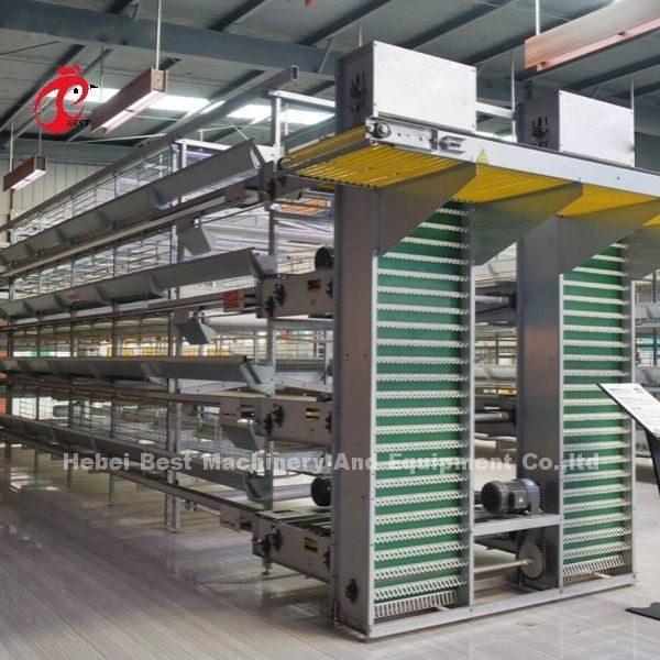 Sistema di gabbia per pollame modulare per allevamenti a strati galvanizzati a caldo Capacità di gabbia a batteria 96-200 Uccelli di sabbia