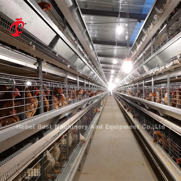 Sistema di gabbia a batteria a strato automatico H Frame per 30000 uccelli