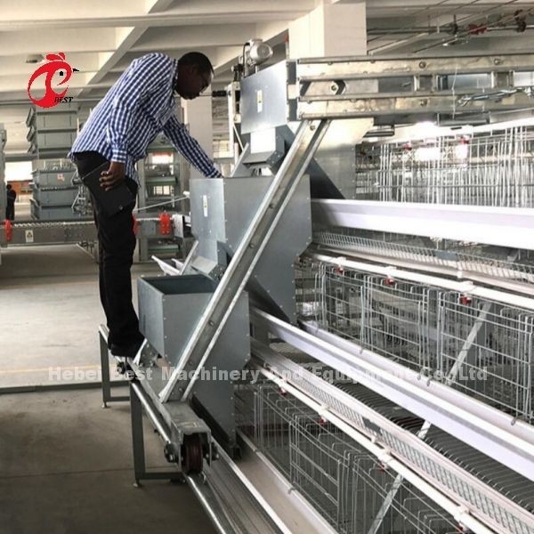 Cage a batteria per pollame di tipo H elettro galvanizzato durevole importato