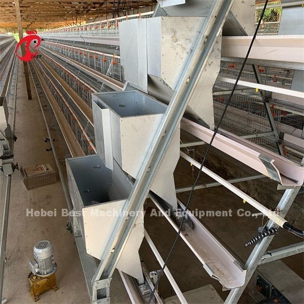 Africa Hot Galvanizzato 4 livelli pollame strato batteria gabbia 25 anni durata in vendita per strati fattoria Emily