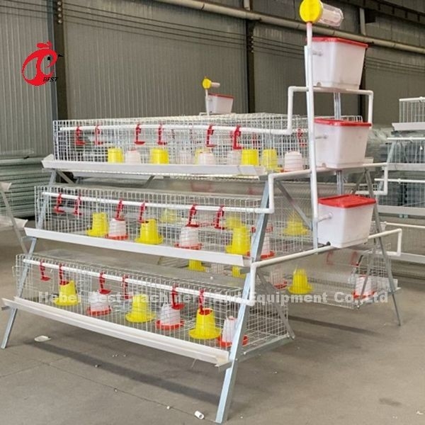 Tipo premio iride dell'azienda avicola A della gabbia di nidiata del pollo della batteria della gabbia del pollo della pollastra