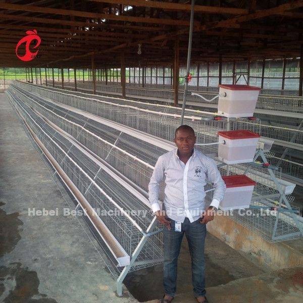 Tipo gabbia Africa Doris del sistema H della gabbia in batteria del pollame della struttura di Antivari di angolo del pollo di strato