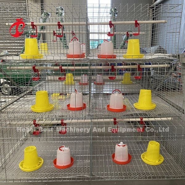 Gabbia 3 Tires, un tipo gabbia in batteria del pollo da carne dell'azienda avicola per i polli da arrosto Doris