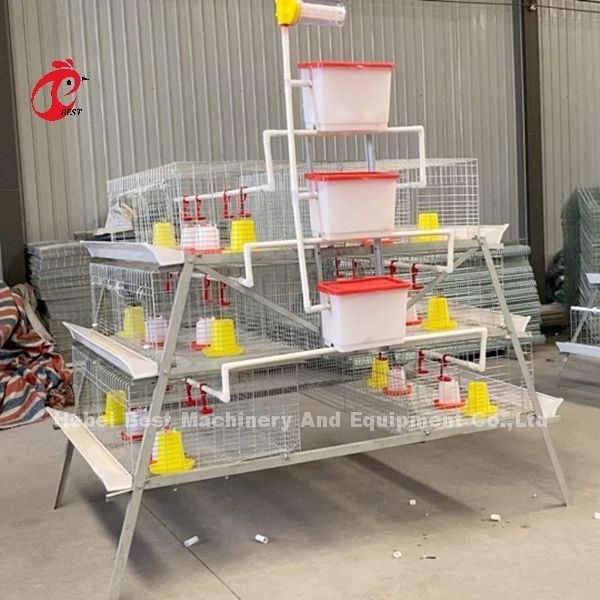 Cage a batteria galvanizzata ad alta resistenza per pollame