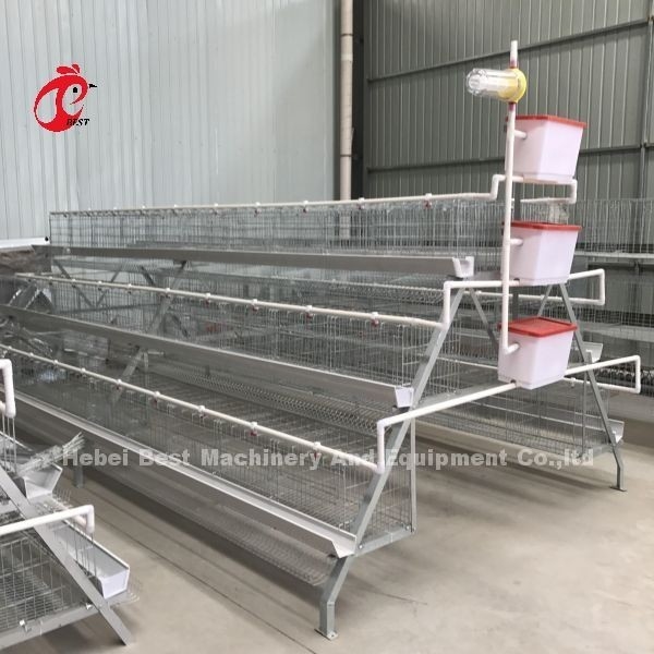 Gabbia galvanizzata fredda Adela del pollo di deposizione delle uova delle porte del sistema 40 della gabbia in batteria del pollame