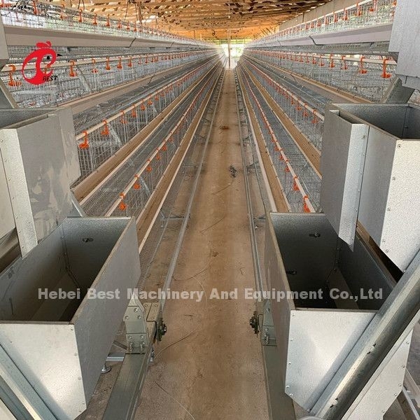 16 Settimane Pollo che depone uova A o H Cornice Cage a strato automatizzato 15000 Uccelli Emily