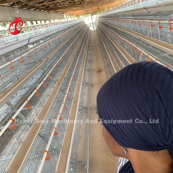 Un tipo manuale di uova da galline gabbia di pollame Emily